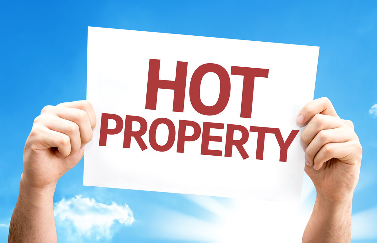 how-to-buy-hot-property